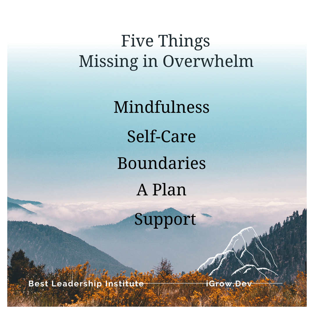 overwhelm and burnout