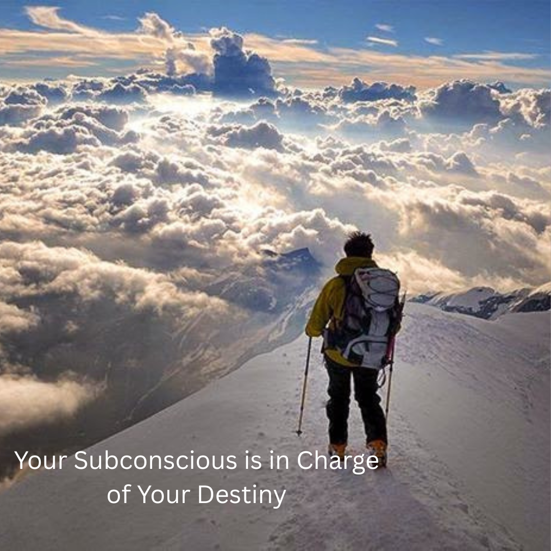 Canva Website Subconscious