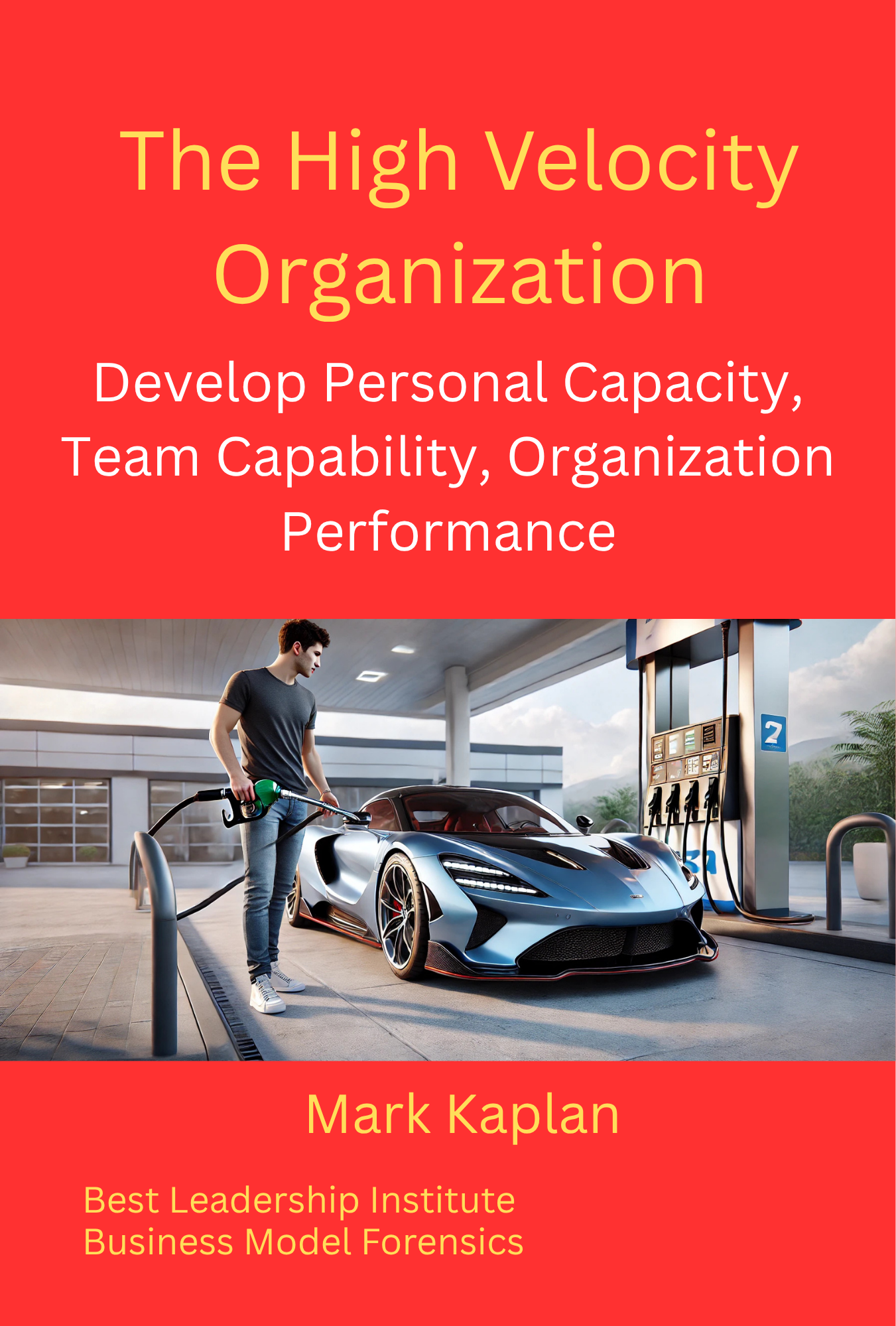 increasing organization performance velocity